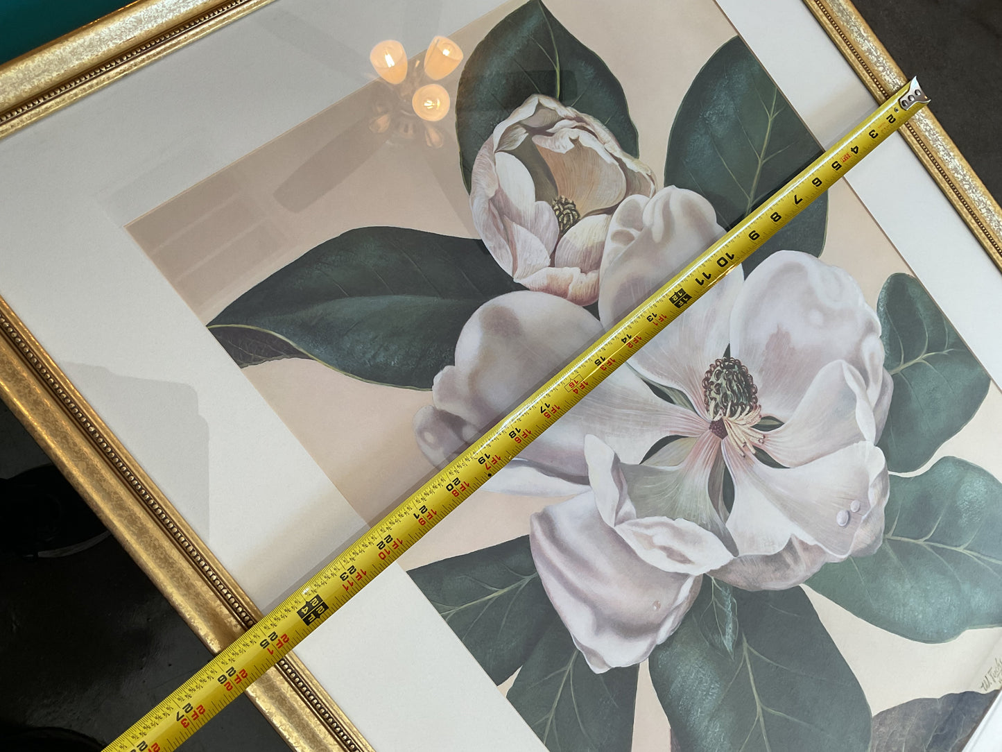 “Afternoon Magnolia” by W. Fuchs V. Schwarzbek