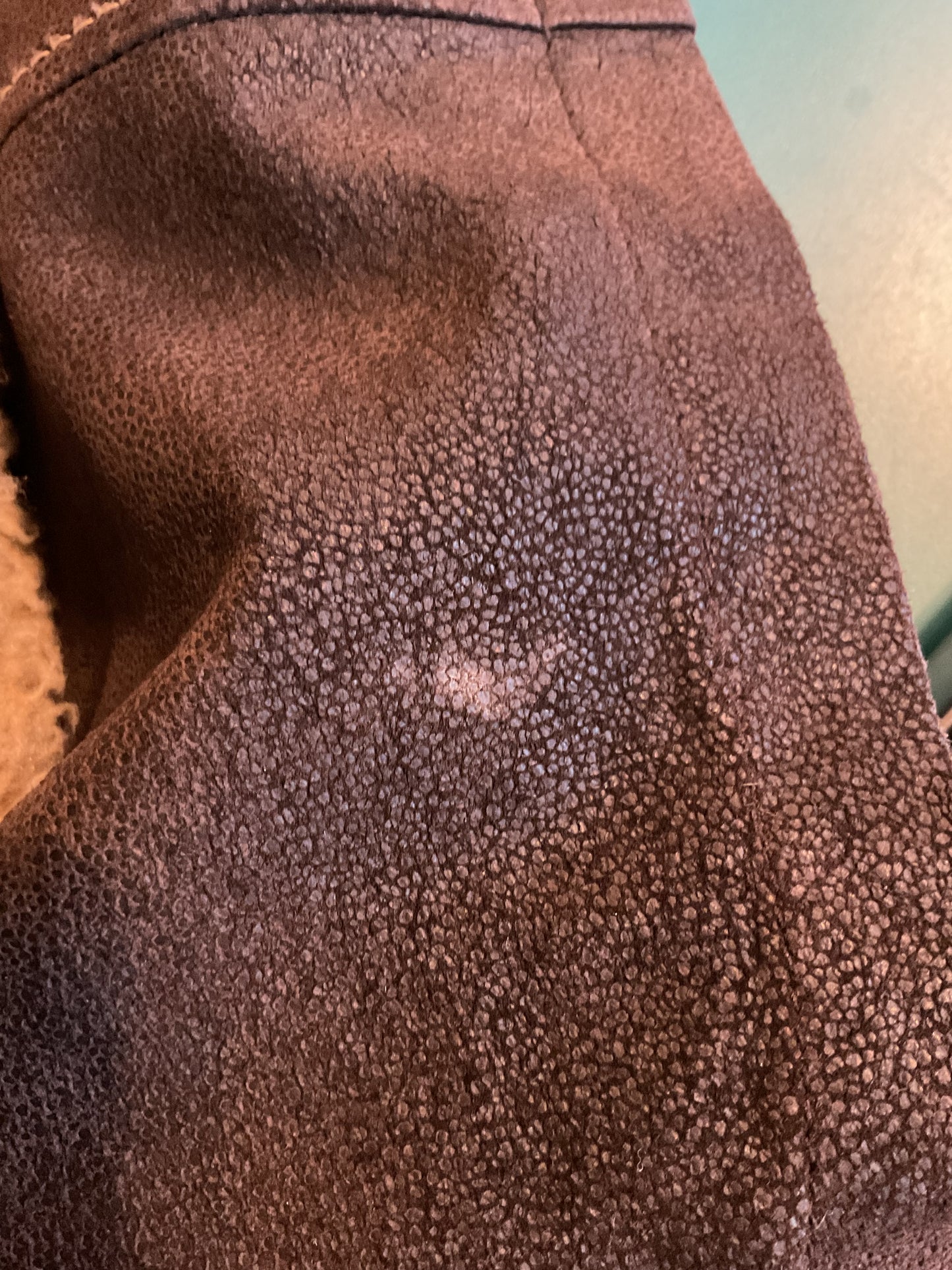 Size Large Bernardo Coat