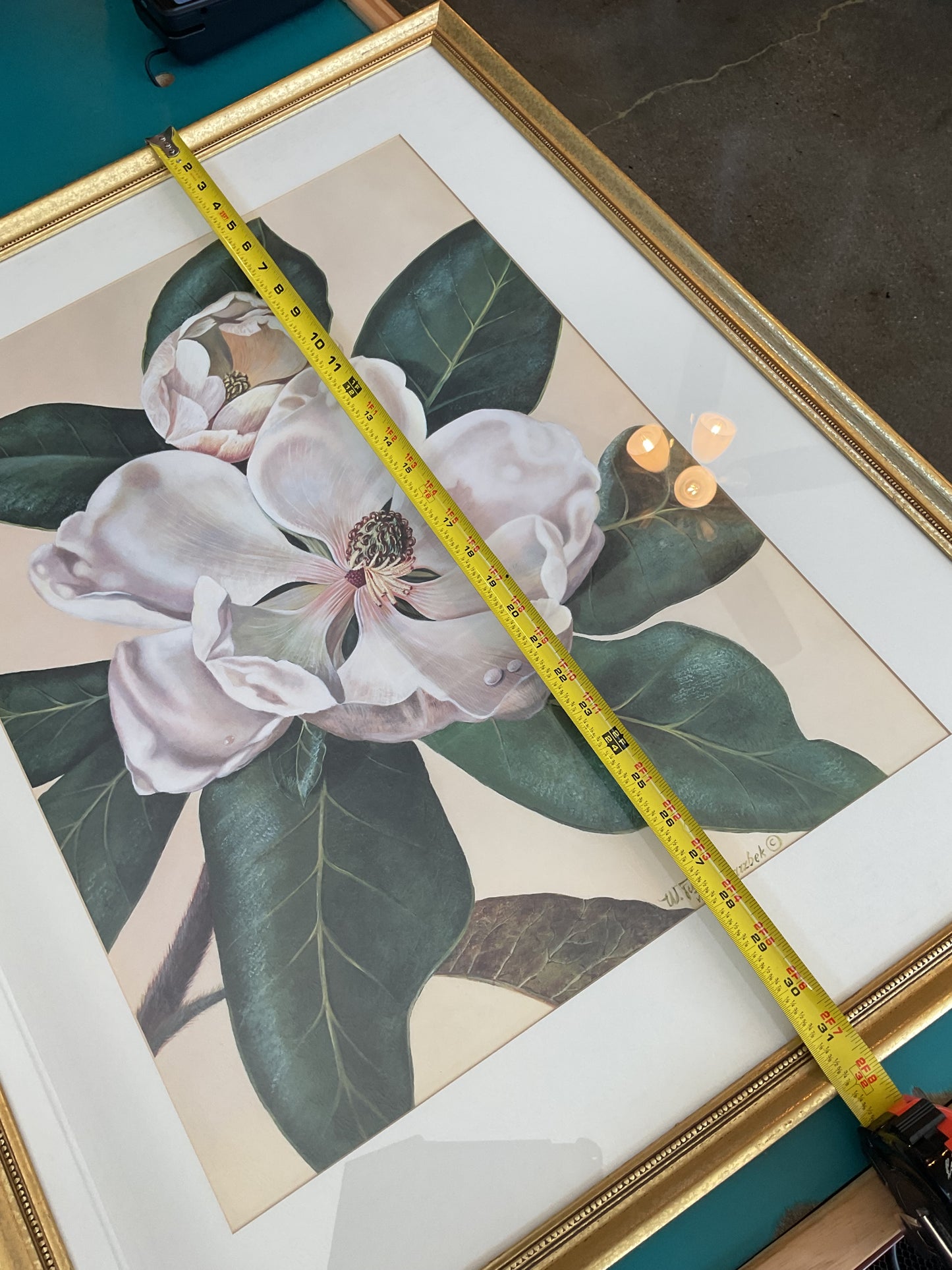 “Afternoon Magnolia” by W. Fuchs V. Schwarzbek