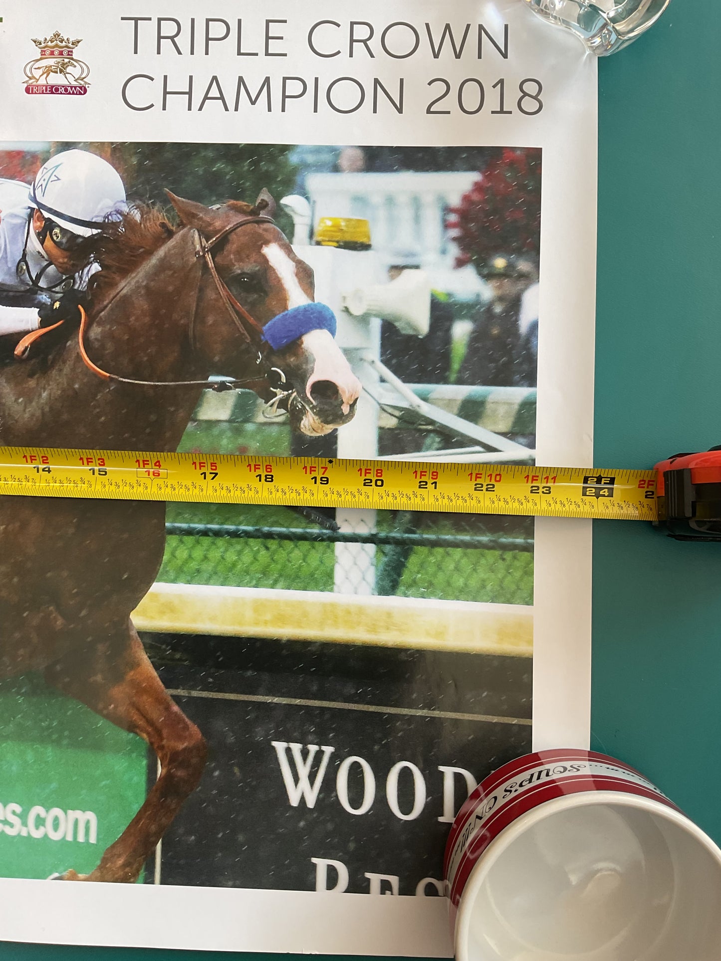 Justify Portrait Triple Crown Champion 2018