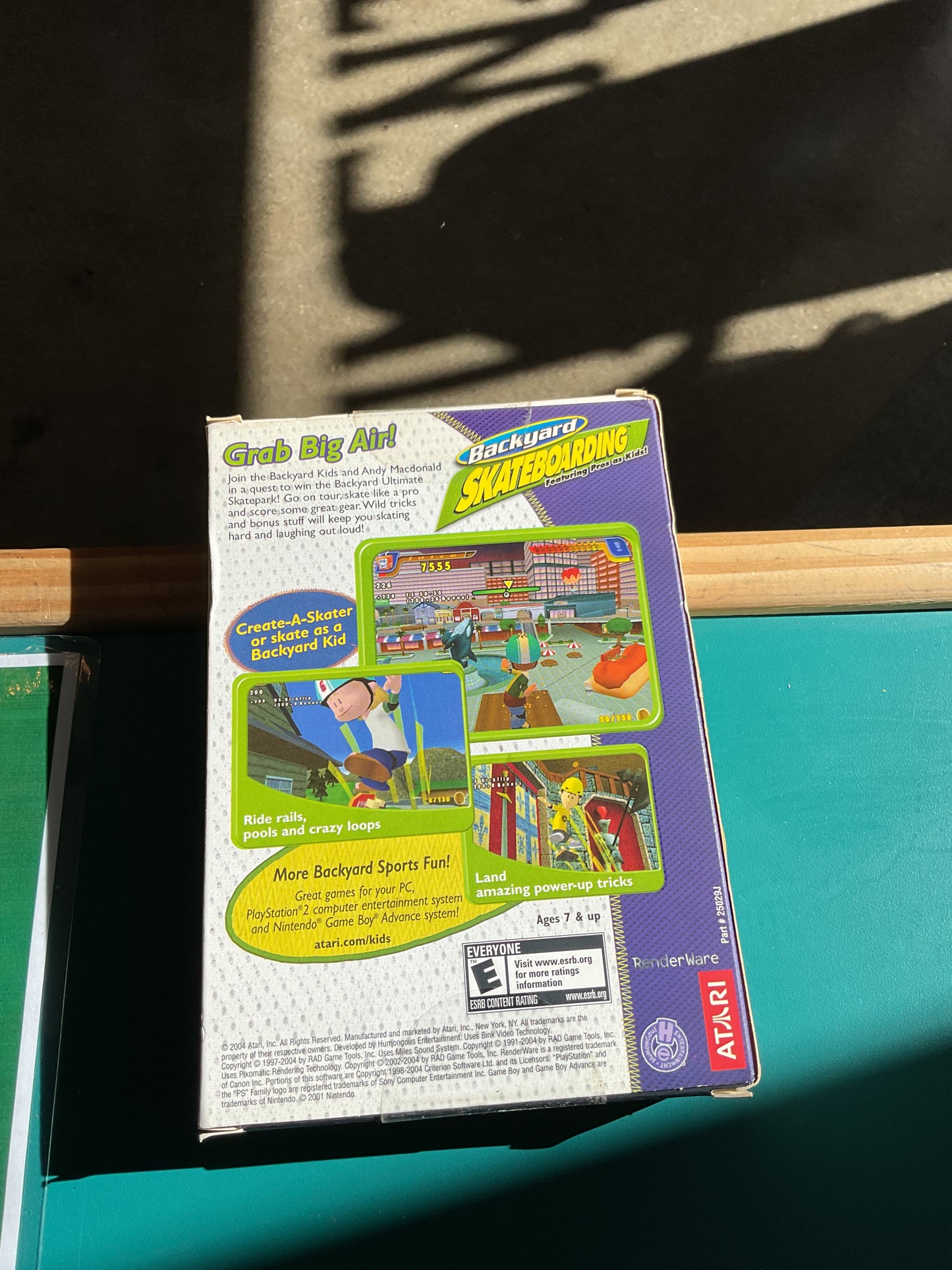 Backyard Skateboarding Vintage PC Game Big Box