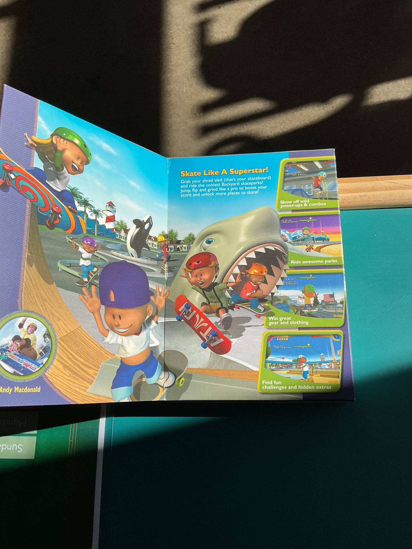 Backyard Skateboarding Vintage PC Game Big Box