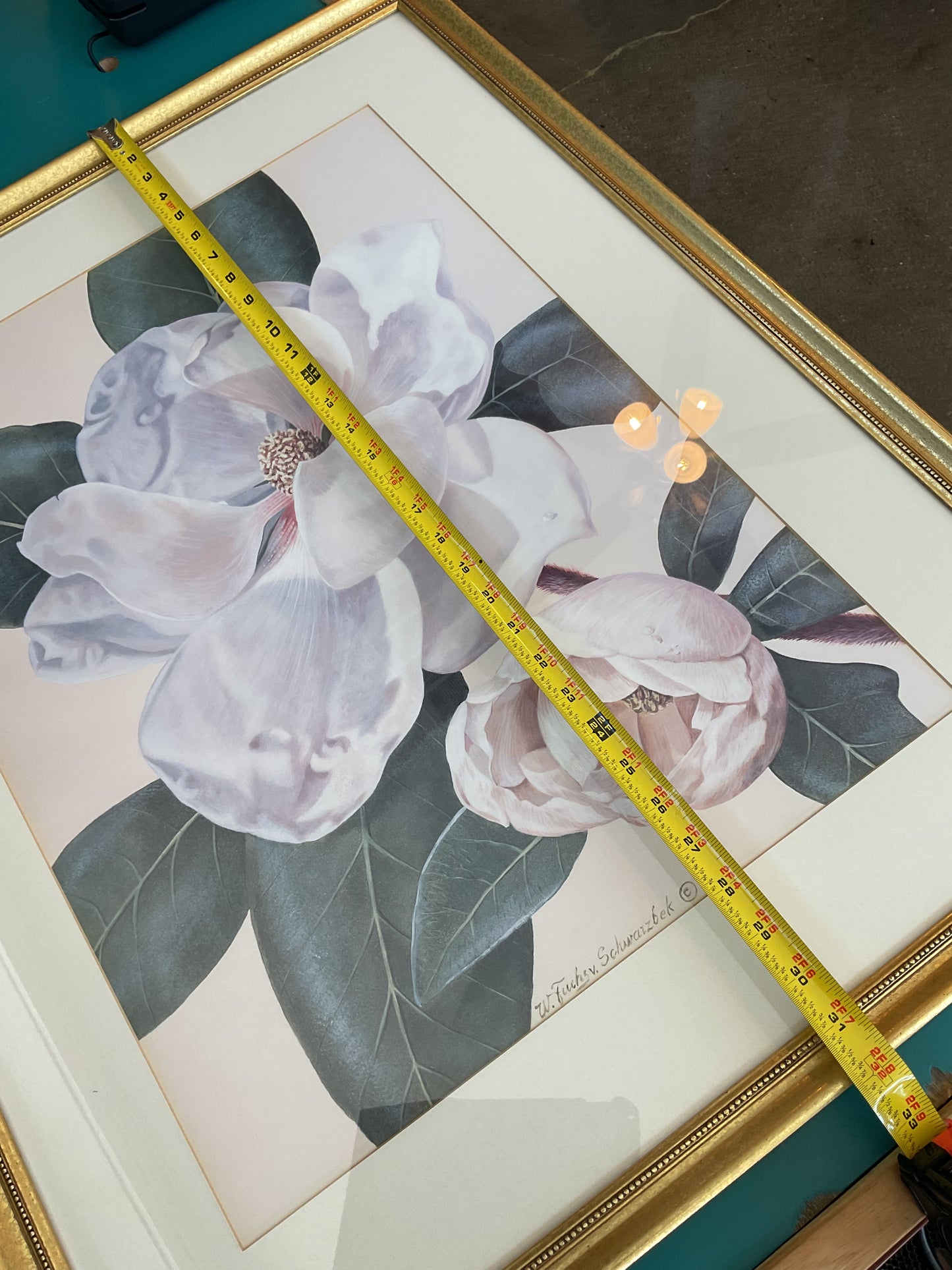 “Morning Magnolia” by W. Fuchs v Shwarzbek