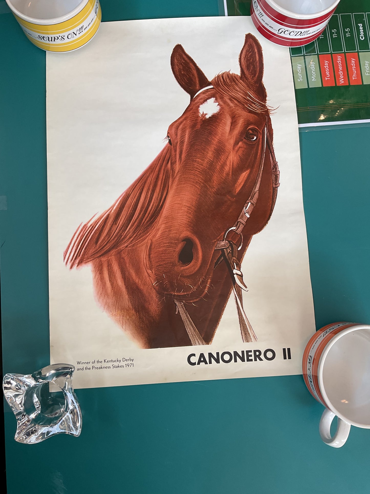 Canonero II Portrait Famous Horse Portrait