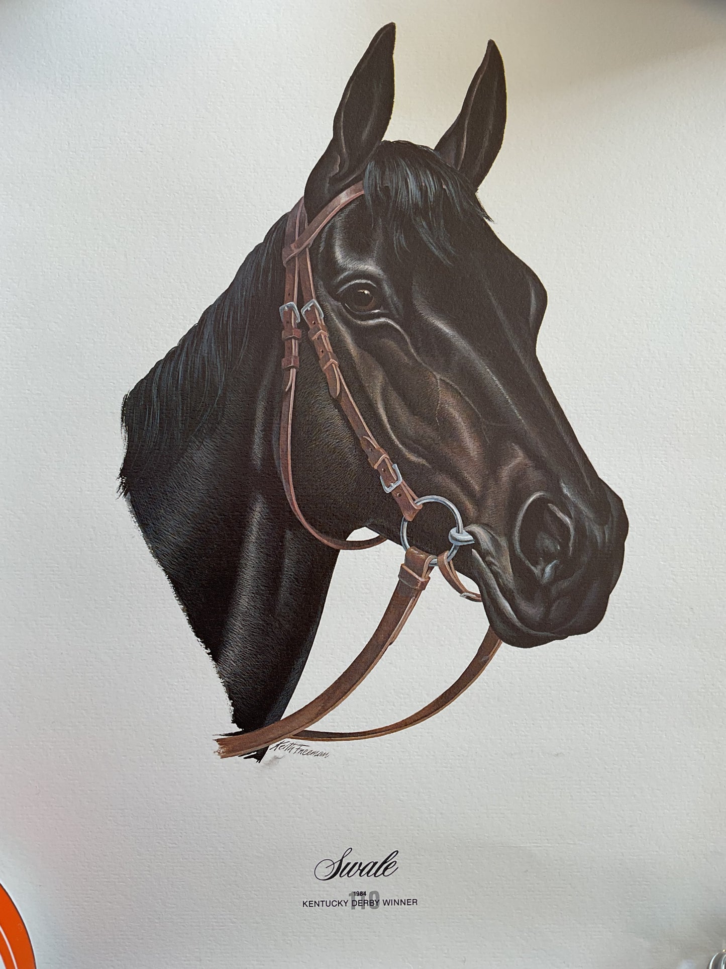 Swale Portrait 1984 Kentucky Derby Winner