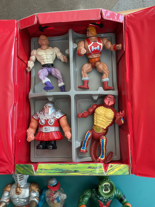 Masters of Universe Lot of 7 Action Figures with Collectors Case