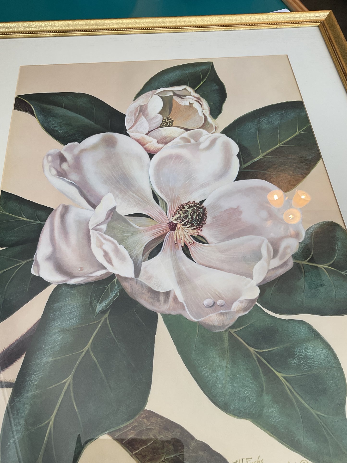 “Afternoon Magnolia” by W. Fuchs V. Schwarzbek