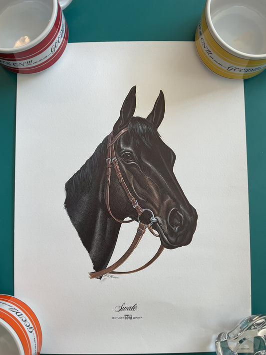 Swale Portrait 1984 Kentucky Derby Winner