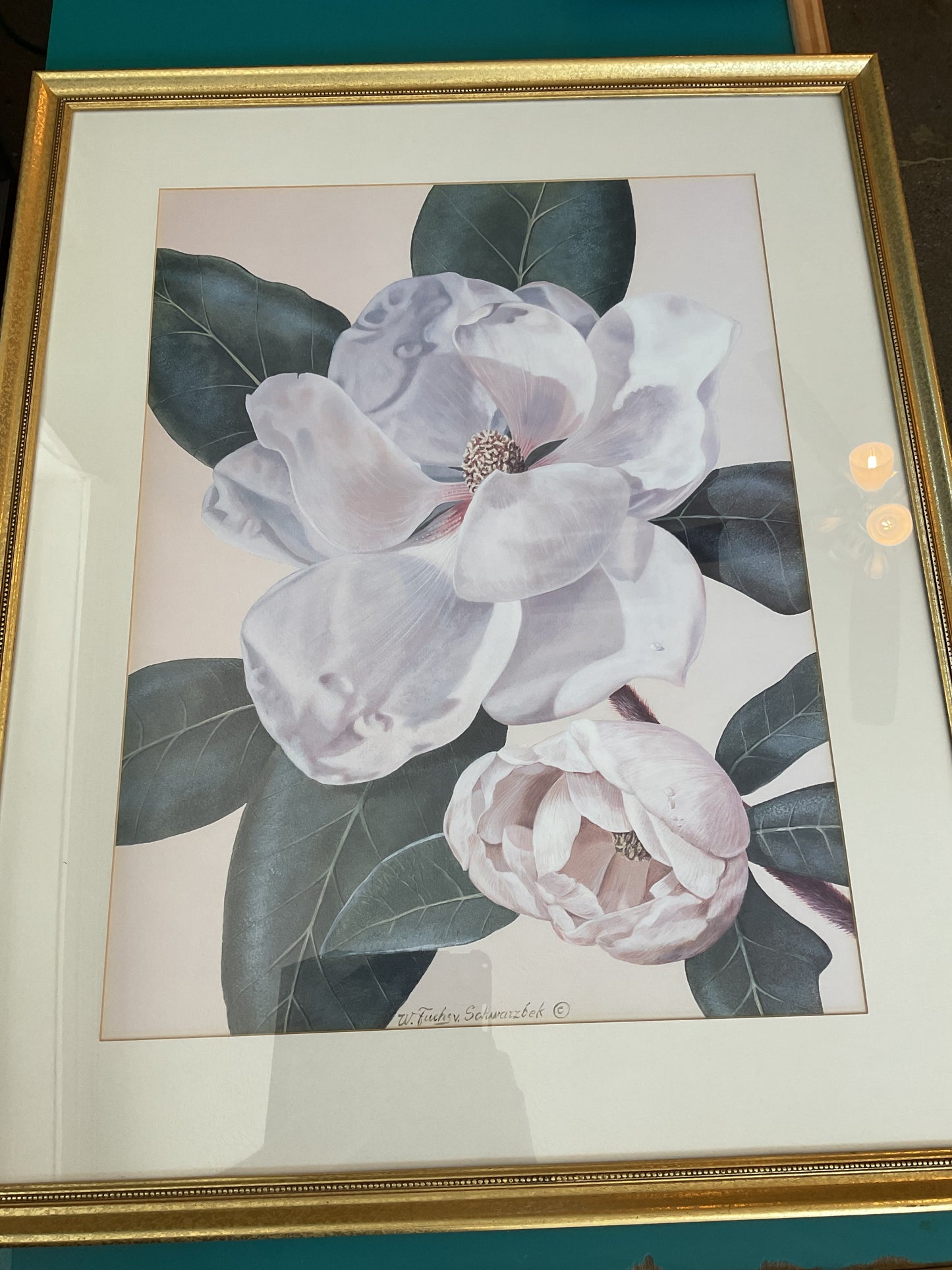“Morning Magnolia” by W. Fuchs v Shwarzbek