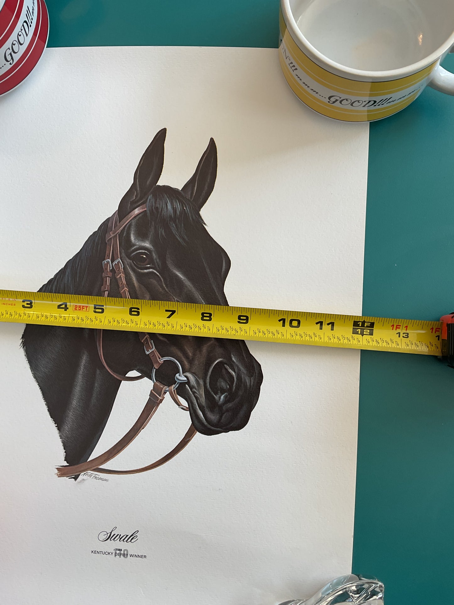 Swale Portrait 1984 Kentucky Derby Winner