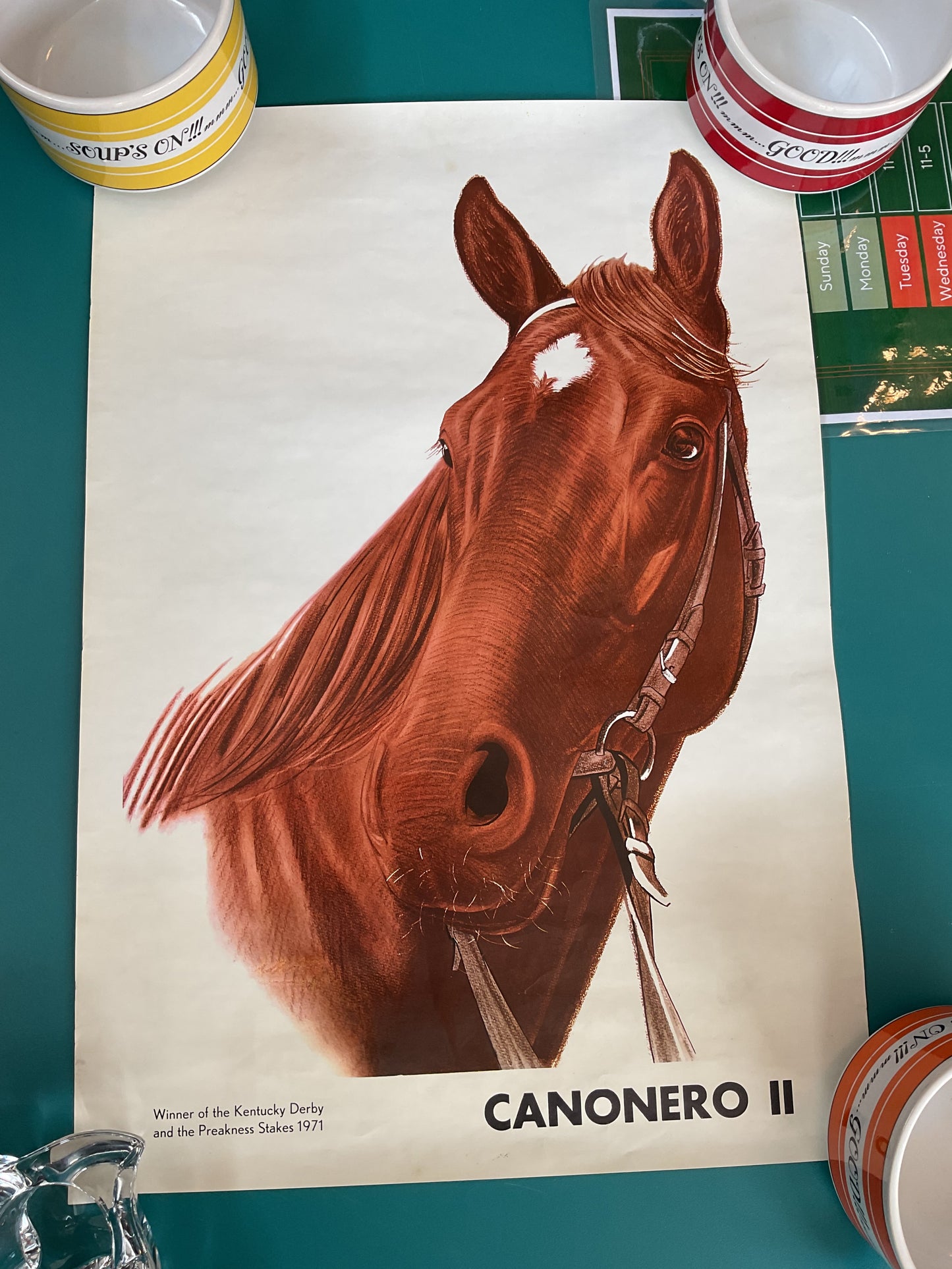 Canonero II Portrait Famous Horse Portrait