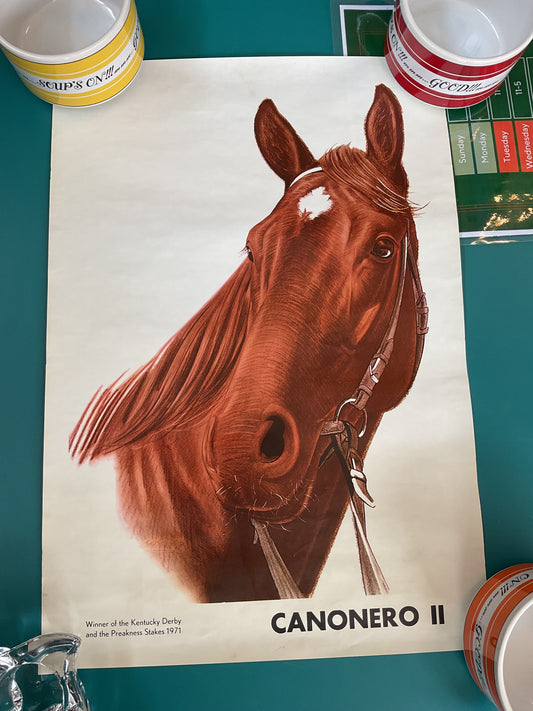 Canonero II Portrait Famous Horse Portrait