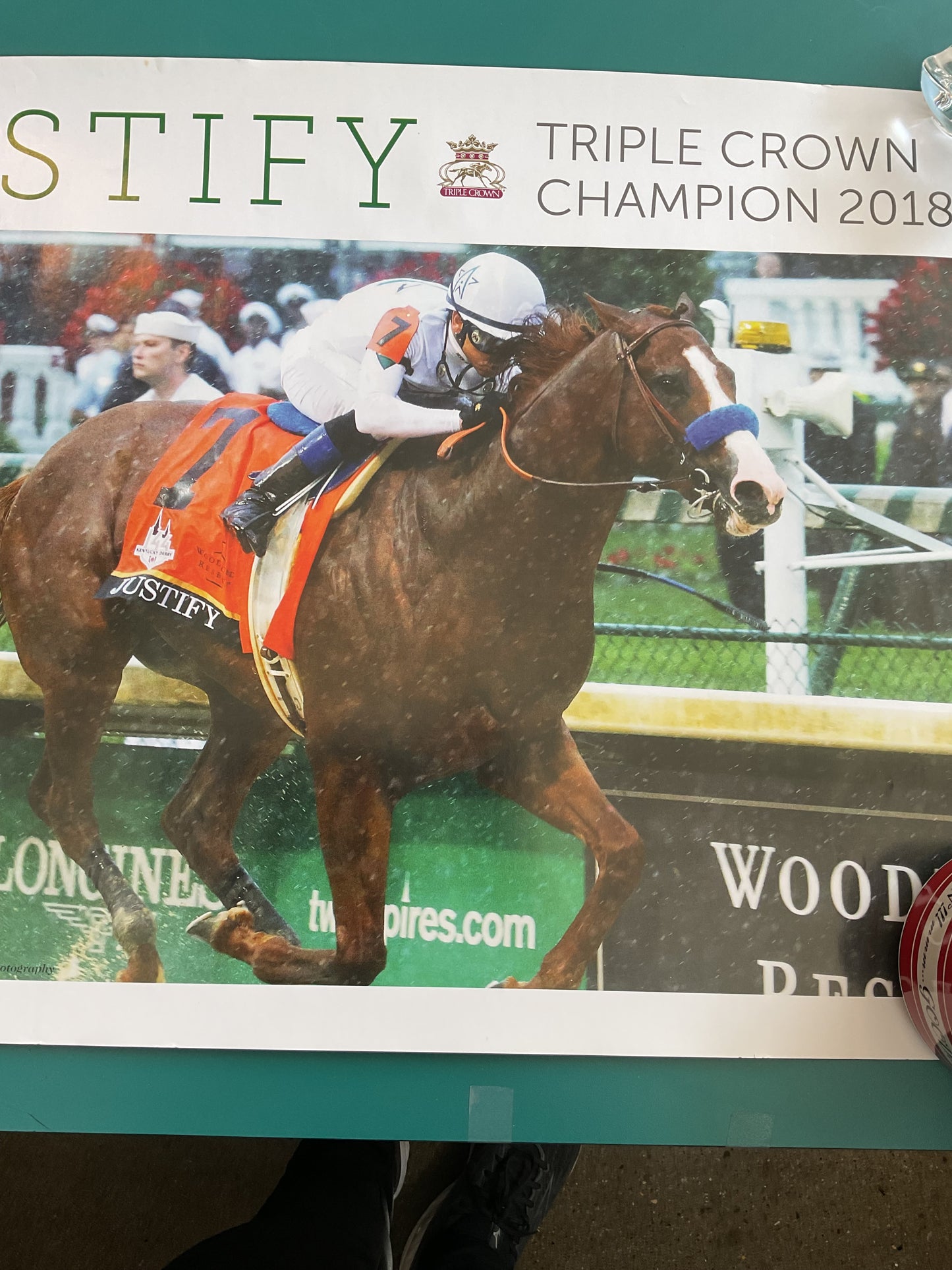 Justify Portrait Triple Crown Champion 2018