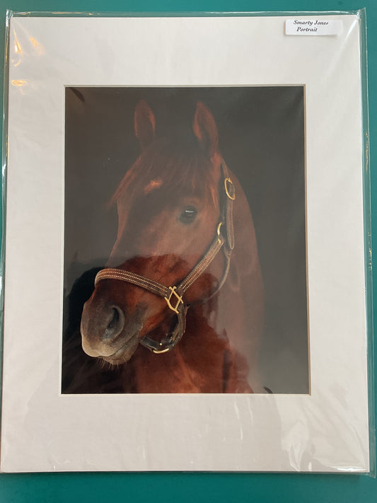 Smarty Jones Portrait