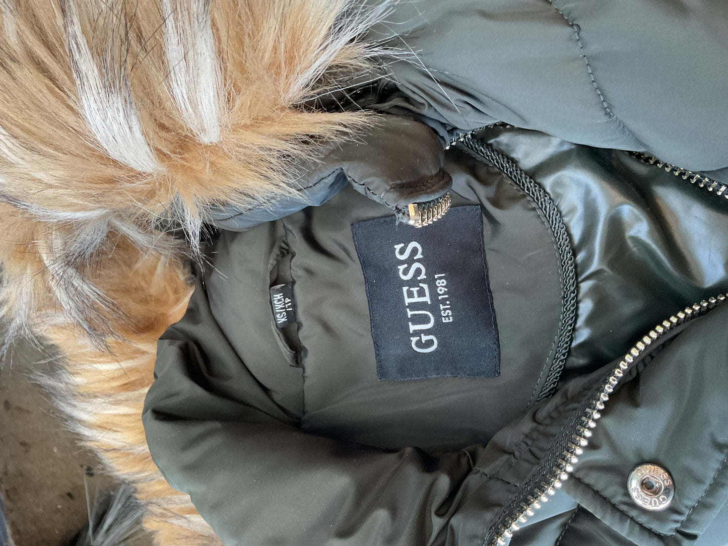 Cute Green Grey Guess Coat XS with Hood