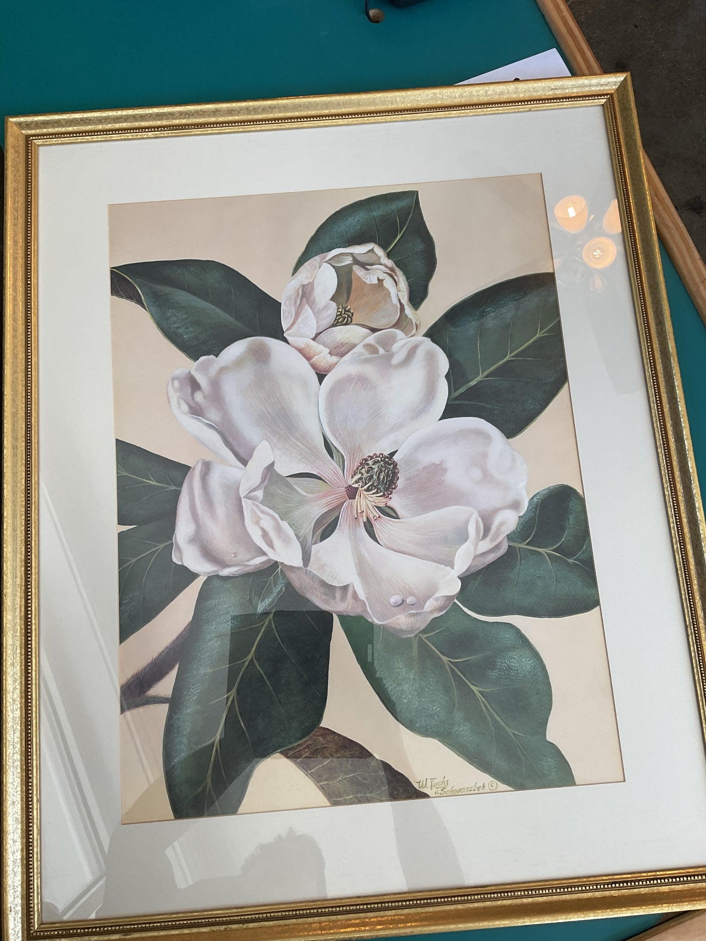 “Afternoon Magnolia” by W. Fuchs V. Schwarzbek
