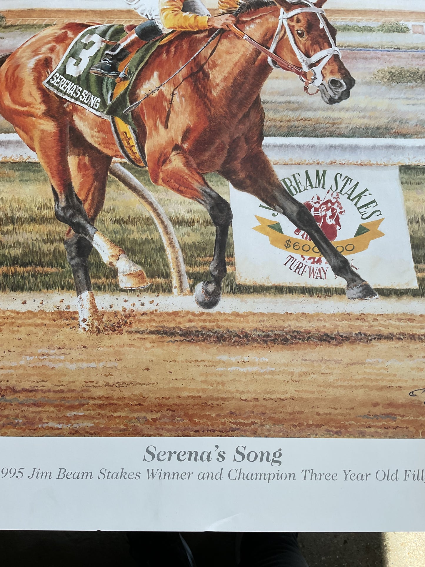 Serena’s Song 1995 Jim Beam Stakes Winner by Michael Geraghty