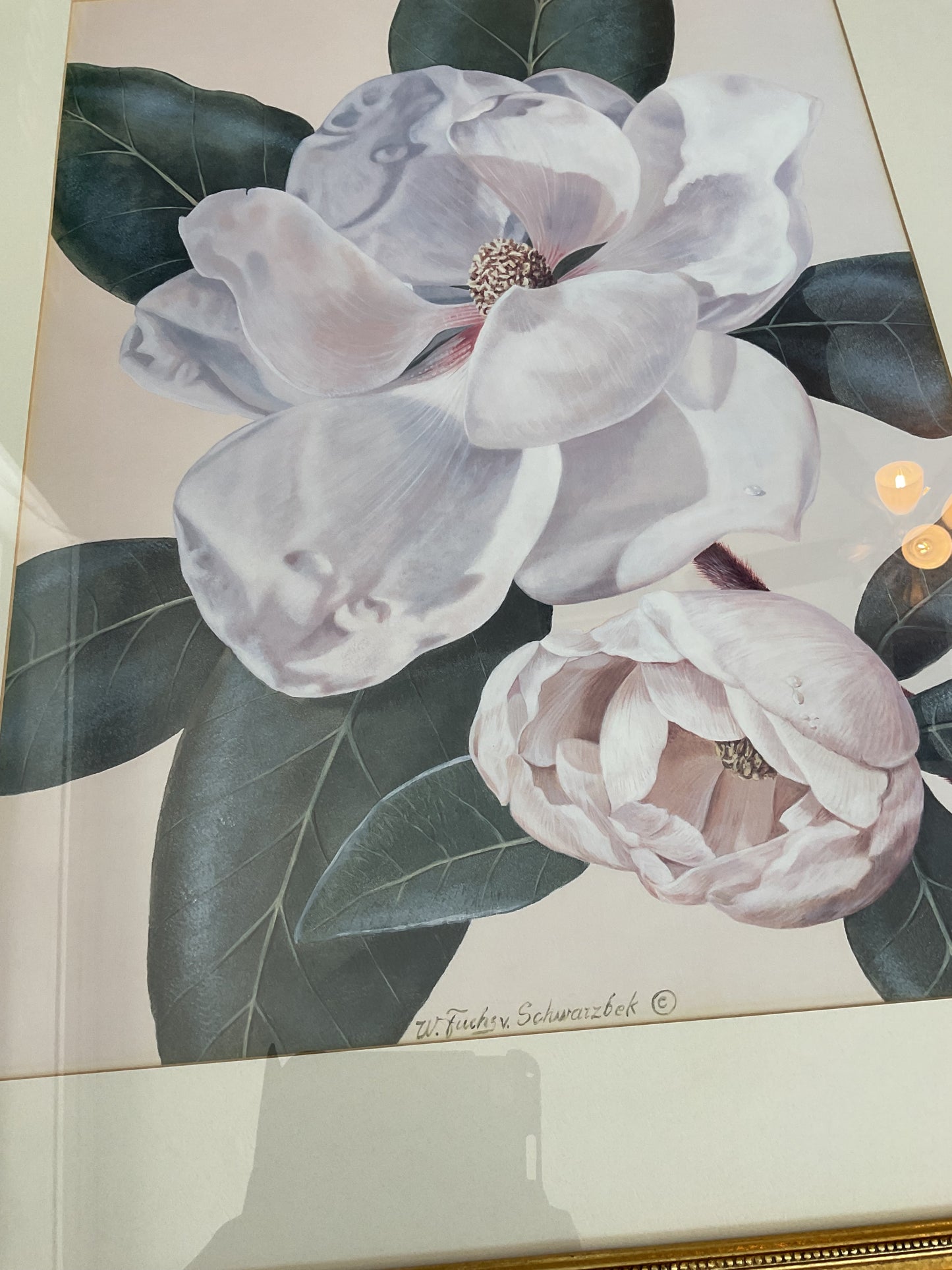 “Morning Magnolia” by W. Fuchs v Shwarzbek