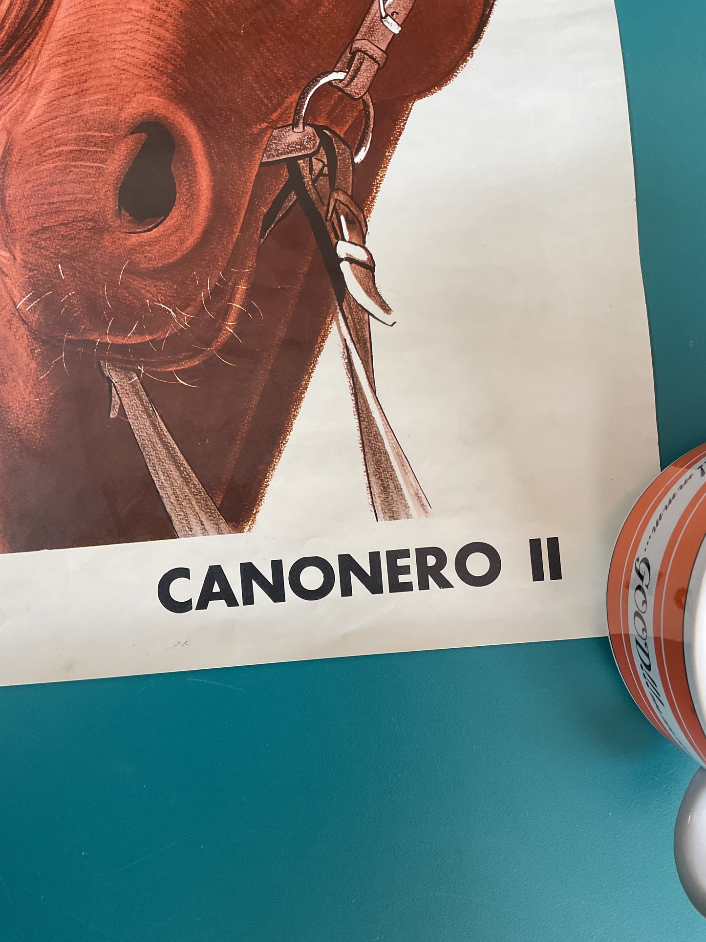 Canonero II Portrait Famous Horse Portrait