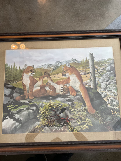 “Mountain Lion” by Roy Harm