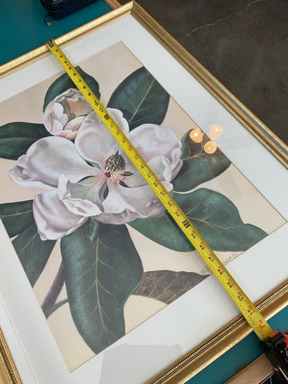 “Afternoon Magnolia” by W. Fuchs V. Schwarzbek
